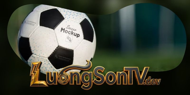 Phân tích tỷ lệ dao động và mức thưởng kỷ lục của kèo rung