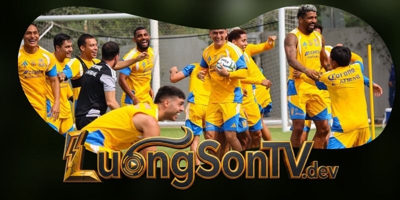 Dự Đoán Trận Queretaro FC Vs Tigres UANL 06h00 02/08