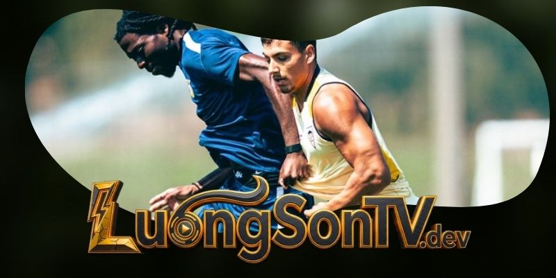 Phân Tích Phong Độ FC Porto Vs Alverca Từ Chất Lượng Kiểm Soát